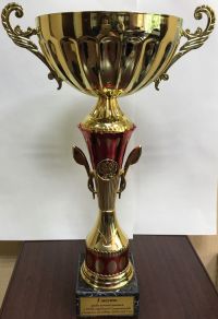 Победа в XVIII городской Спартакиаде учащейся молодёжи!