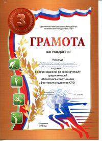Участие в областном спортивном фестивале среди студентов ПОО Новгородской области