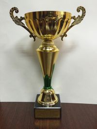 Мы – Чемпионы!